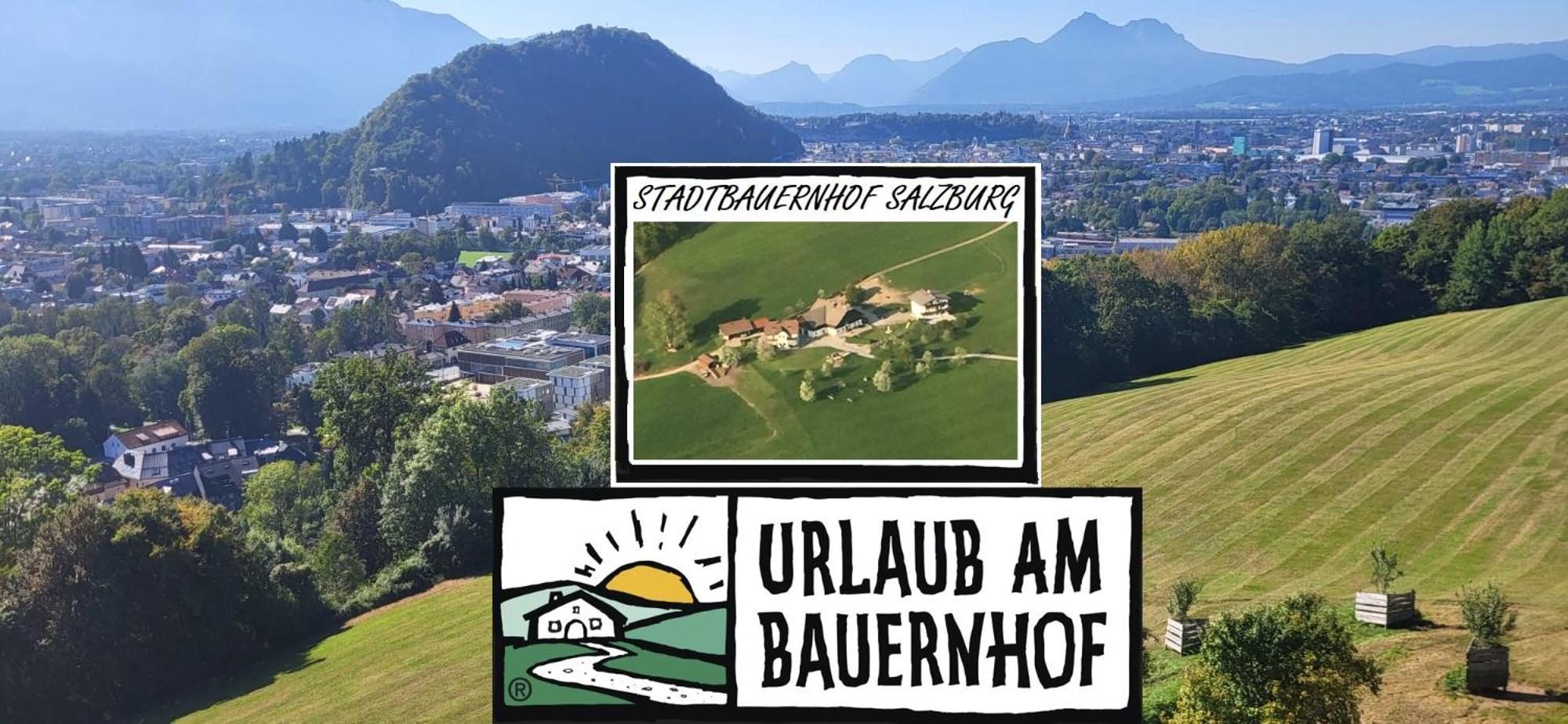Stadtbauernhof - - Gut Unterleithen Appartement *