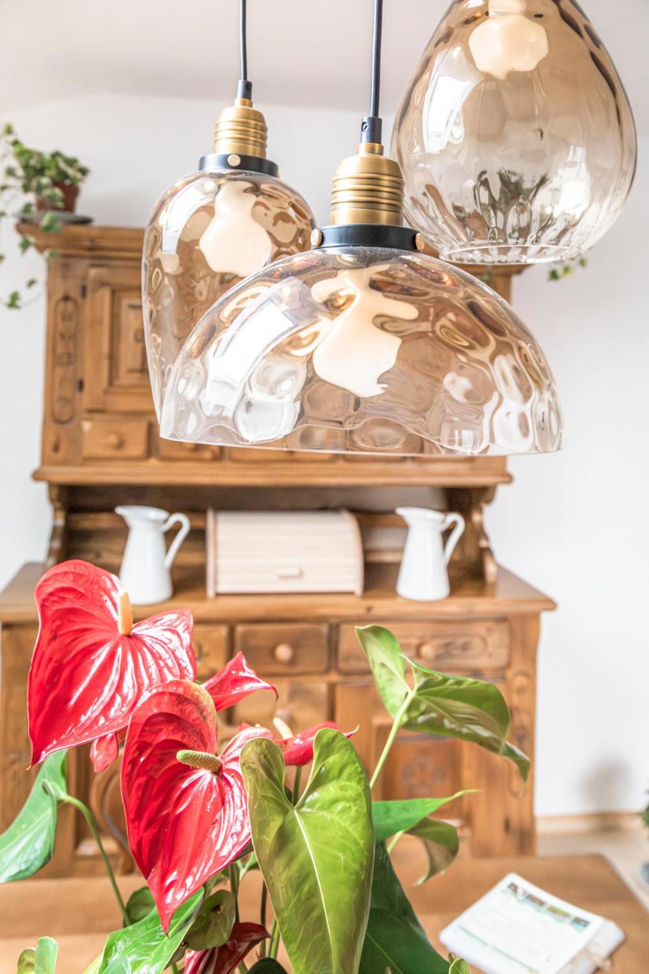 Stadtbauernhof - - Gut Unterleithen Appartement Salzburg